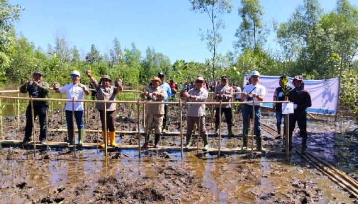 Kapolsek Matan Hilir Utara Ikuti Launching Penanaman 6.000 Bibit Mangrove