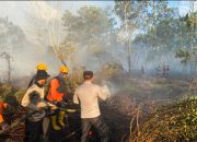 Karhutla di Rasau Jaya, Bupati dan Kapolres Kubu Raya Turun Tangan
