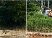 Penarik Rakit Diamankan,Panglima Bunga Datok Laway Layangkan Surat Panggilan Adat Ke PT. BOMA