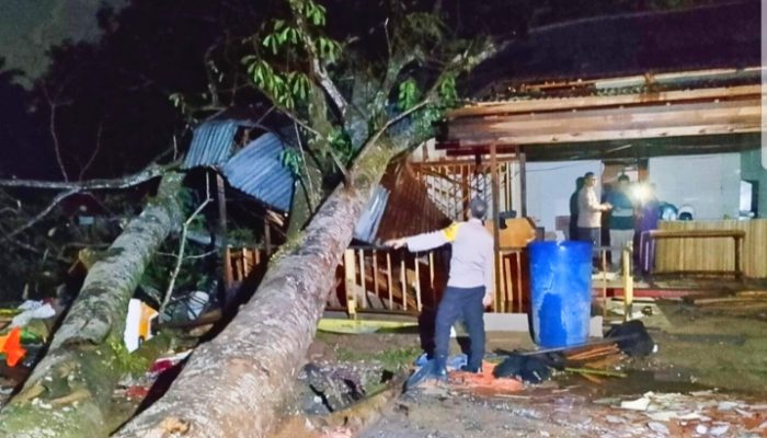Polisi dan Damkar Evakuasi Pohon Tumbang Timpa Warung Kopi di Kubu Raya