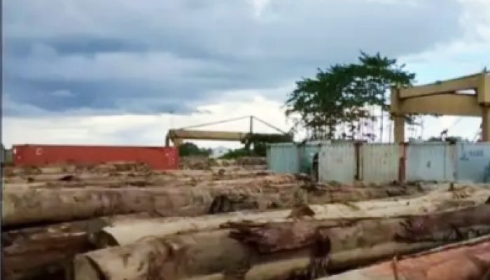 Gakkum Tangkap Dua Bos Kayu Ilegal di Ketapang, Diduga Langgar UU Penggelapan Pajak dan TPPU