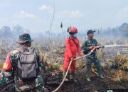 Prajurit Kodam XII/ Tanjungpura Berjibaku Padamkan Karhutla di Kubu Raya