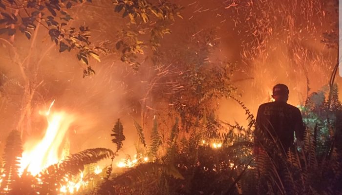 Polres Kubu Raya dan Tim Gabungan Berjibaku Padamkan Karhutla di Sungai Raya