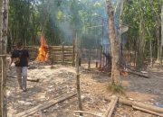 TNI – Polri dan Tokoh Masyarakat Musnahkan Arena Sabung Ayam di Desa Belimbing