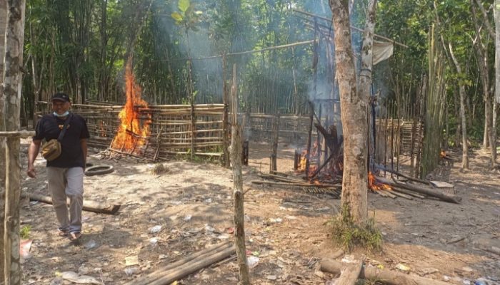 TNI – Polri dan Tokoh Masyarakat Musnahkan Arena Sabung Ayam di Desa Belimbing