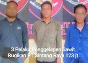 Rugikan 123 Juta, Polsek Kubu Tangkap 3 Pelaku Penggelapan 36 Ton Sawit di Olak – Olak