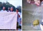 Viral ! Petani Keramba Menjerit, Ikan Mati Diduga Akibat Limbah PETI di Sekadau