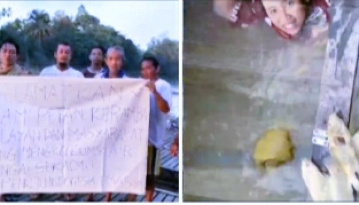 Viral ! Petani Keramba Menjerit, Ikan Mati Diduga Akibat Limbah PETI di Sekadau