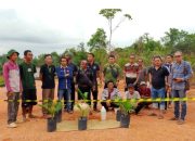 Diduga Melanggar MOU Reklamasi , PT RATU INTAN MINNING (PT RIM) Diportal Adat Warga Air Upas