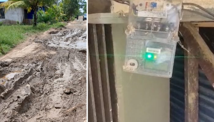 Over Kapasitas”Diduga DT Angkut Buah Sawit Tidak Hanya Merusak Jalan, Tapi KWH Milik Poskesdes Masbangun Jadi Korban