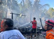 Kebakaran Gudang Terjadi di Desa Sutera, Kerugian Ditaksir Capai Rp50 Juta