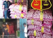 Tim Media dan Lembaga Investigasi Telusuri Dugaan Pemilik Inisal AS Impor Ilegal Bawang Putih Merek Panda di Pontianak Selatan