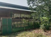 Diduga Ada Penyimpangan Proyek Ayam Petelur Distanak KKU Diprotes Warga