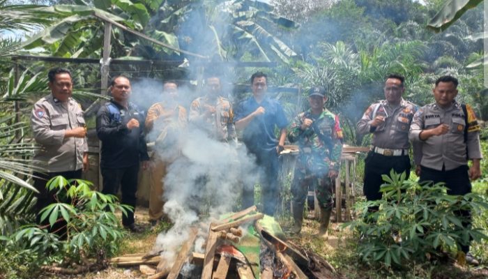 Polsek Tumbang Titi Bubarkan Lokasi Judi Sabung Ayam di Kecamatan Pemahan