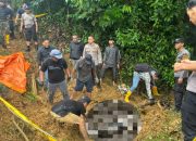 Geger Temukan Mayat Pria di Kebun Alpukat, Polisi Lakukan Penyelidikan