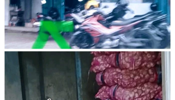 Lapor Bapak Kapolda Dugaan Gudang Bawang Putih Ilegal Milik AS, Bebas Beraktivitas Di Pinta APH Bertindak