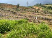 Bengkayang Kalbar* Monitoring AWI Soroti Dugaan Pembukaan 200 Hektar Kebun Sawit Tanpa Izin HGU di Kawasan Hutan Produksi Bengkayang*