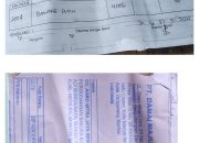 Pontianak KPK Tipikor dan  AWI Siap Meleporkan Bawang Putih.Produk Cina