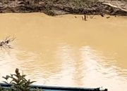 Warga Nanga Payak Mengeluh: Sungai Payak Kian Tercemar Diduga Akibat Aktivitas PETI di Hulu Sungai