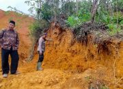 Tragis! Warga Tayan Hilir Tewas Tertimbun Tanah Saat Gali Batu di Bekas Tambang