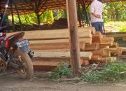 BP3K-RI Kalimantan Barat Desak APH Tindak Tegas Dugaan Pengolahan Kayu Ilegal di Bengkayang