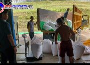 Polres Sanggau Jual 36,90 Ton Jagung ke Bulog untuk Cadangan Pemerintah