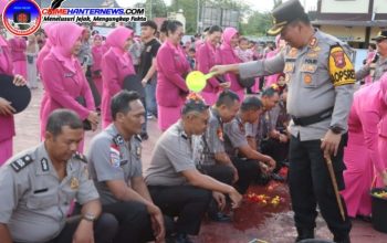 Oplus_131072 Oplus_131072