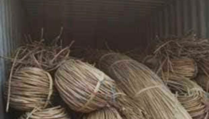 Dari 9 Jadi 4 Kontainer, GNPK RI Kalbar Desak APH Ungkap Aktor Penyelundupan Rotan Ilegal