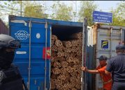 Viral Kasus Rotan Ilegal , GNPK RI Pertanyakan Keseriusan Bea Cukai Kalbar,Ungkap Tersangka