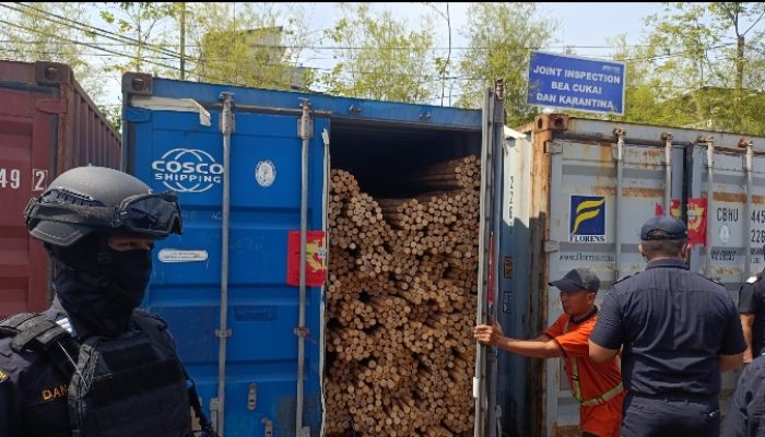 Viral Kasus Rotan Ilegal , GNPK RI Pertanyakan Keseriusan Bea Cukai Kalbar,Ungkap Tersangka