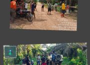 Diduga Hukum Bisa Dipermainkan Oleh PT APN Atau Agrignas Palma Nusantara Dalam Peneggakan Hukum. Ninja Sawit