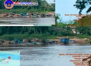 PETI Tempunak Menggila di Depan Mata Aparat! Atensi Kapolri & Kapolda Kalbar Diduga Diabaikan, Isu Setoran Makin Santer