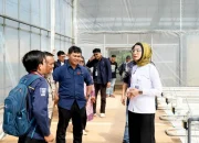 Smart Greenhouse Jadi Model Baru Inovasi Pangan Berkelanjutan