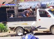 “Gas Subsidi Dijual Mahal! Toko Diduga ‘Siluman’ di Bengkayang Raup Untung dari Penderitaan Rakyat”