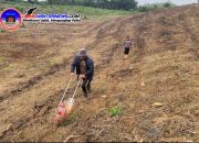 Sinergi Polisi dan Warga, Penanaman Jagung Hibrida Digelar di Beduai