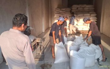 Ketahanan Pangan Terus Diperkuat, Jagung Pipil Kering Polsek Kapuas Lolos Uji Mutu Bulog