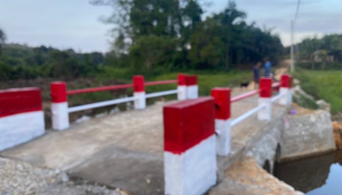 Jembatan Armco di Dusun Ensibo Rampung 100 Persen, Perkuat Konektivitas Masyarakat Tayan Hulu