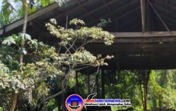 Diduga Tanpa Kejelasan Legalitas, Aktivitas Somel Milik OKA di Ruas Jalan Rawak–Nanga Taman Disorot; APH Diminta Turun Tangan