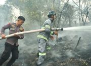 Titik Api Muncul di Gunung Payung Bengkayang, Damkar Gabungan Bergerak Cepat Cegah Karhutla Meluas