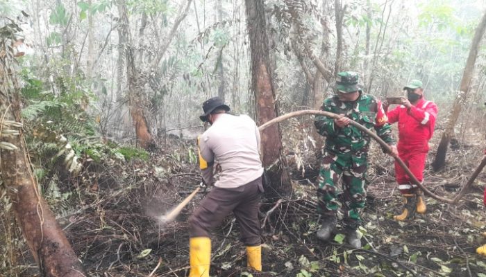 Lahan Warga Terbakar di Kubu Raya, PT NJP Kerahkan Tim Damkar