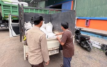 550 Kg Jagung Polsek Toba Diserap Bulog, Kualitas Lolos Uji
